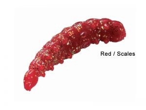Osie larvy Červený Glitter